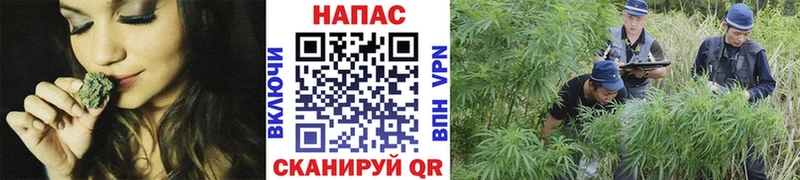 omg сайт  Городовиковск  МАРИХУАНА тримм 